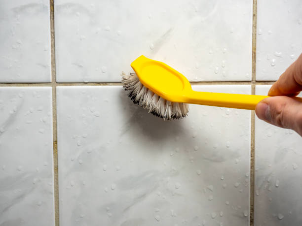 Best Certified Mold Removal  in Barberton, OH