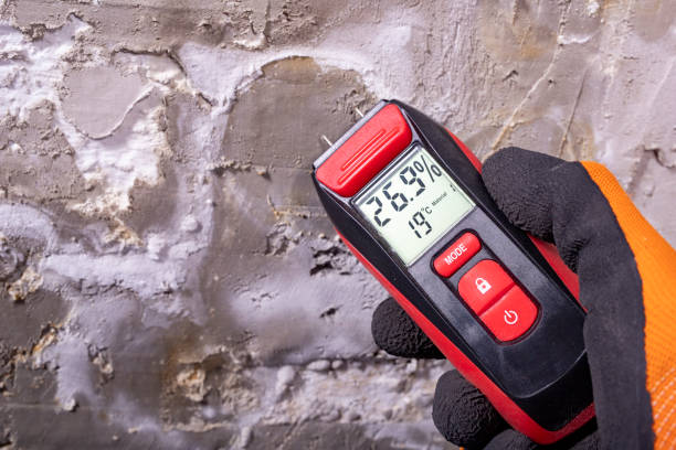 Best Mold Removal Company Near Me  in Barberton, OH