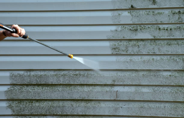 Best Residential Mold Removal  in Barberton, OH
