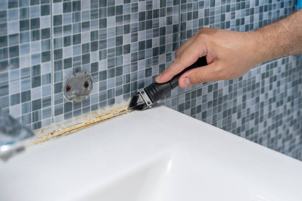 Best Mold Cleaning Services  in Barberton, OH